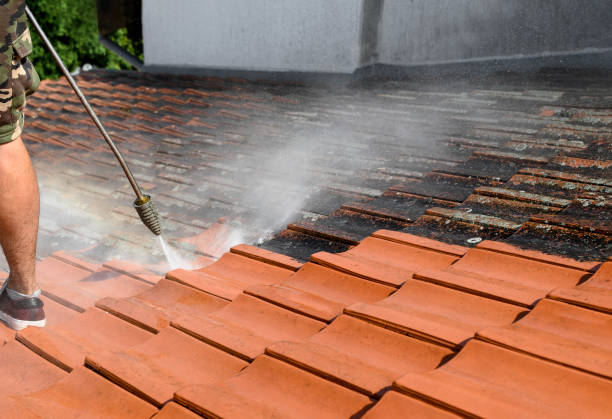 Best Pressure Washing Near Me  in Itta Bena, MS