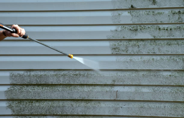 Best Local Pressure Washing Services  in Itta Bena, MS