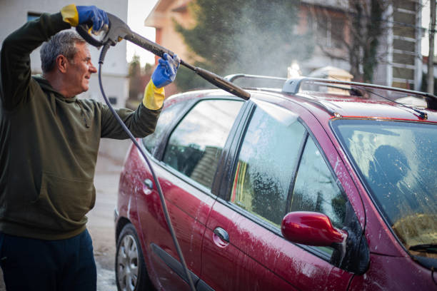 Best Roof Pressure Washing  in Itta Bena, MS